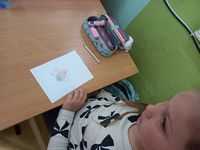 Zdjęcie: 28