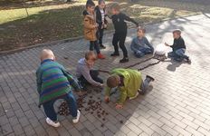 Zdjęcie: 40