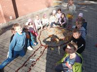 Zdjęcie: 42