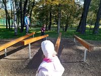 Zdjęcie: 39
