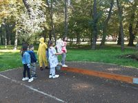 Zdjęcie: 41