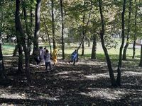 Zdjęcie: 47