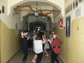 Zdjęcie: 11