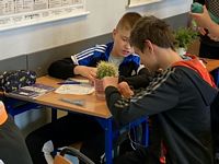 Zdjęcie: 12
