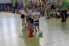 Zdjęcie: 146