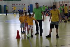 Zdjęcie: 175