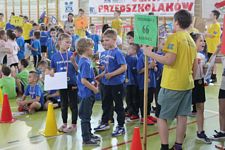 Zdjęcie: 221