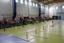Zdjęcie: 61