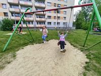 Zdjęcie: 7