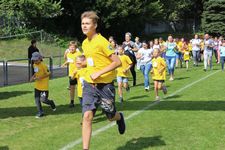 Zdjęcie: 11