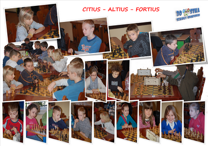Zdjęcie: 6