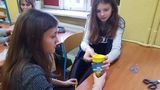 Zdjęcie: 5