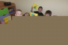 Zdjęcie: 7