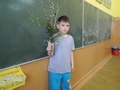 Zdjęcie: 60