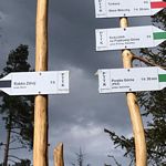 Kliknij tutaj