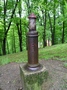 Zdjęcie: 19