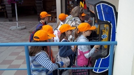 Zdjęcie: 10