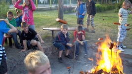 Zdjęcie: 38