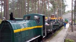 Zdjęcie: 98
