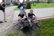 Zdjęcie: 17