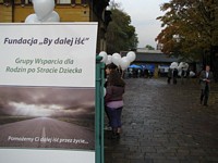 Zdjęcie: 10