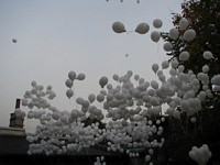 Zdjęcie: 16