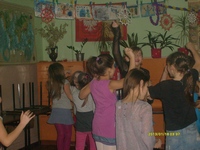 Zdjęcie: 6