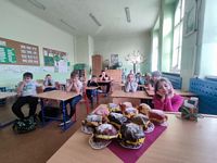 Zdjęcie: 11