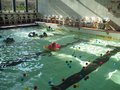 Zdjęcie: 16