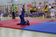 Zdjęcie: 36