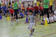 Zdjęcie: 74