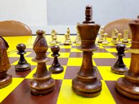 Zdjęcie: 45