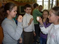 Zdjęcie: 7