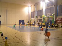 Zdjęcie: 30