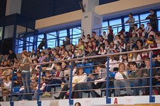 Zdjęcie: 19