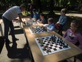 Zdjęcie: 102