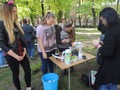 Zdjęcie: 122