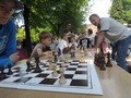 Zdjęcie: 133