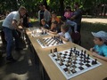 Zdjęcie: 138