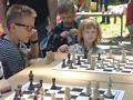 Zdjęcie: 150