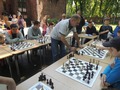 Zdjęcie: 161