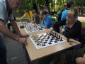 Zdjęcie: 172