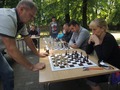 Zdjęcie: 176