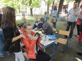 Zdjęcie: 38