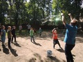 Zdjęcie: 41