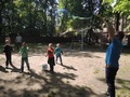 Zdjęcie: 42