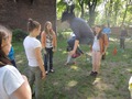 Zdjęcie: 56