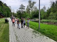 Zdjęcie: 221
