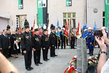 Zdjęcie: 41