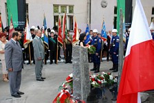 Zdjęcie: 43